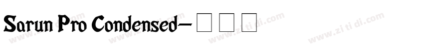 Sarun Pro Condensed字体转换
